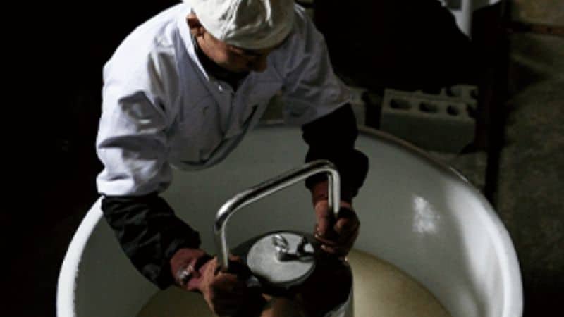 刈穂の酒造り（山廃仕込み・酒槽しぼり）