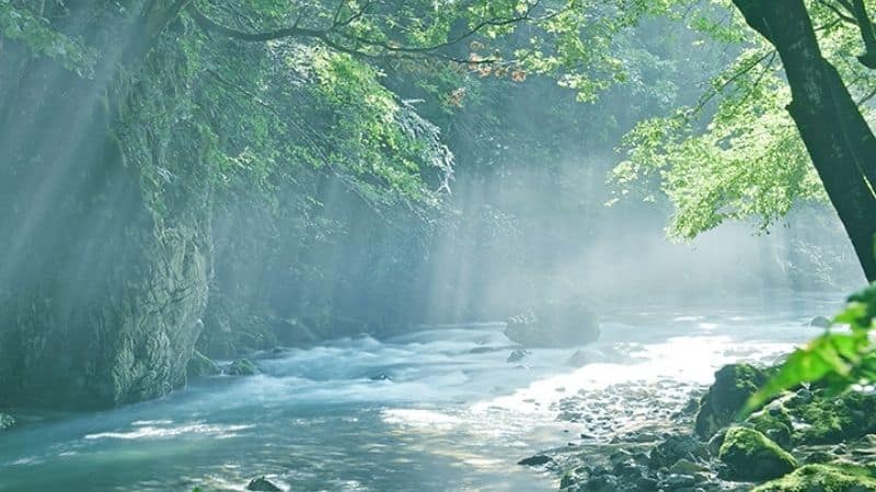 那珂川の伏流水