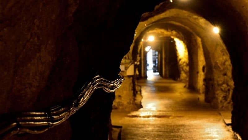 島崎酒造の洞窟酒蔵